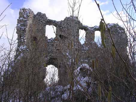 View larger image View larger image