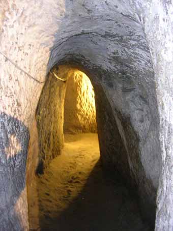 View larger image View larger image