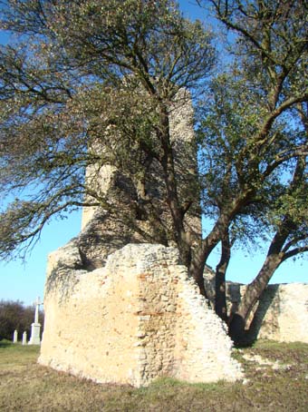 View larger image View larger image