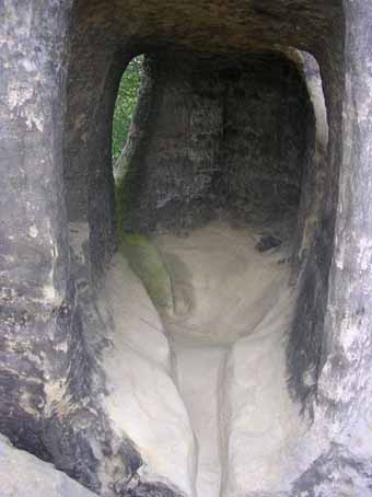 View larger image View larger image