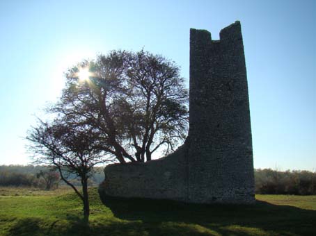 View larger image View larger image