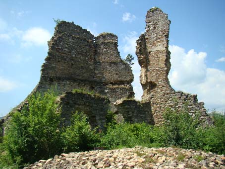 View larger image View larger image