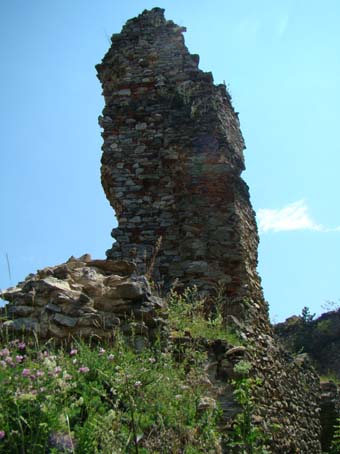 View larger image View larger image