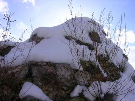 View larger image View larger image