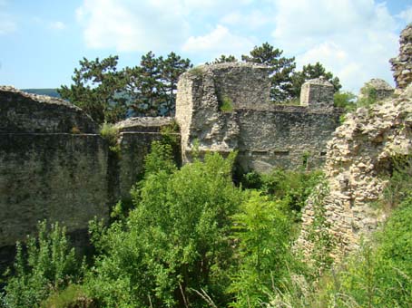 View larger image View larger image