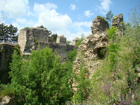 View larger image View larger image