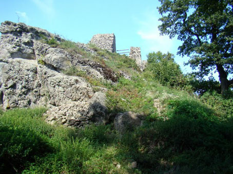 View larger image View larger image