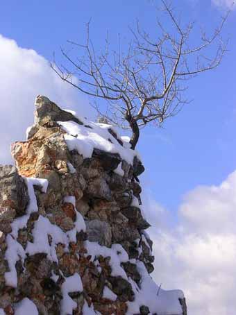 View larger image View larger image