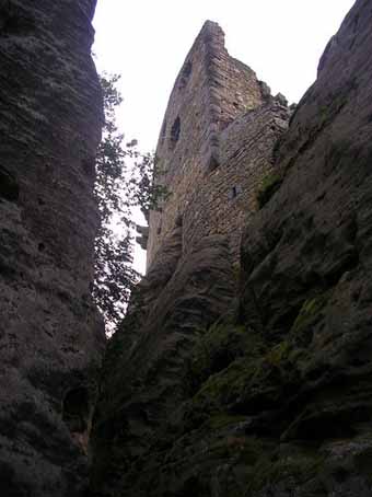 View larger image View larger image