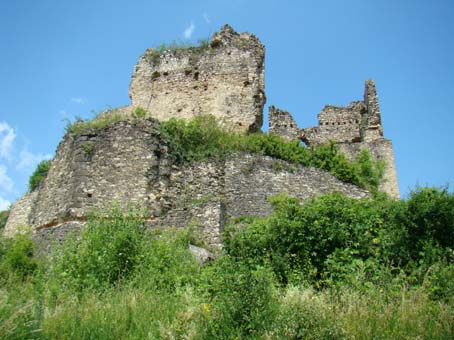 View larger image View larger image