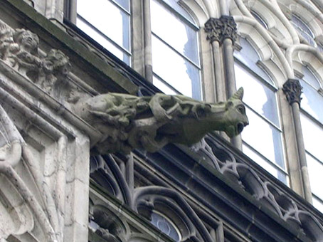 View larger image View larger image