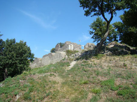 View larger image View larger image