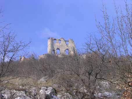 View larger image View larger image