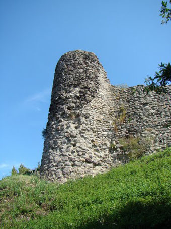 View larger image View larger image