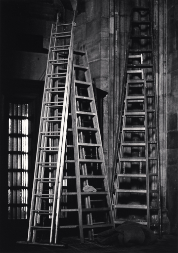 View larger image View larger image