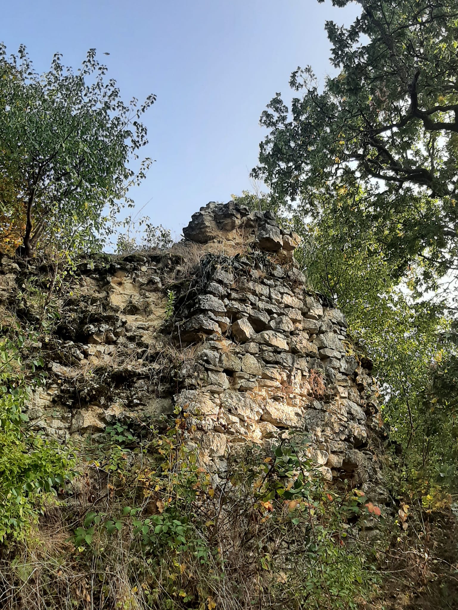 View larger image View larger image