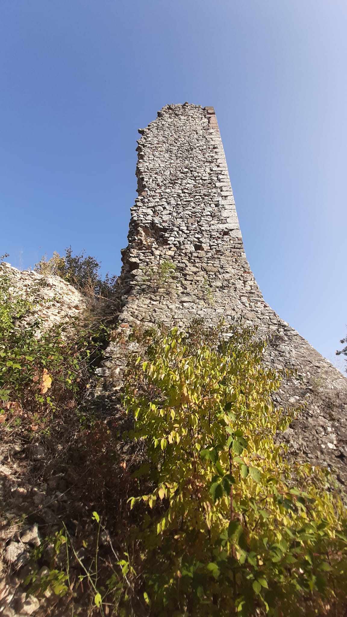 View larger image View larger image