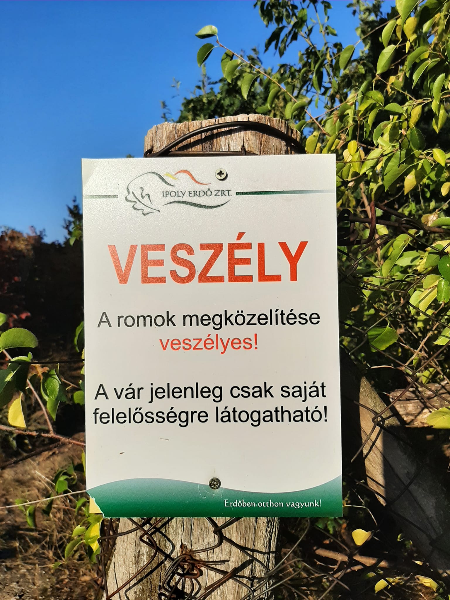 View larger image View larger image