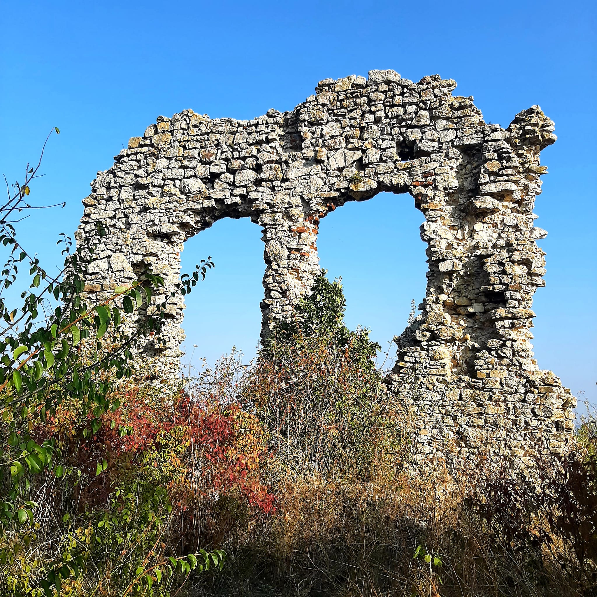 View larger image View larger image