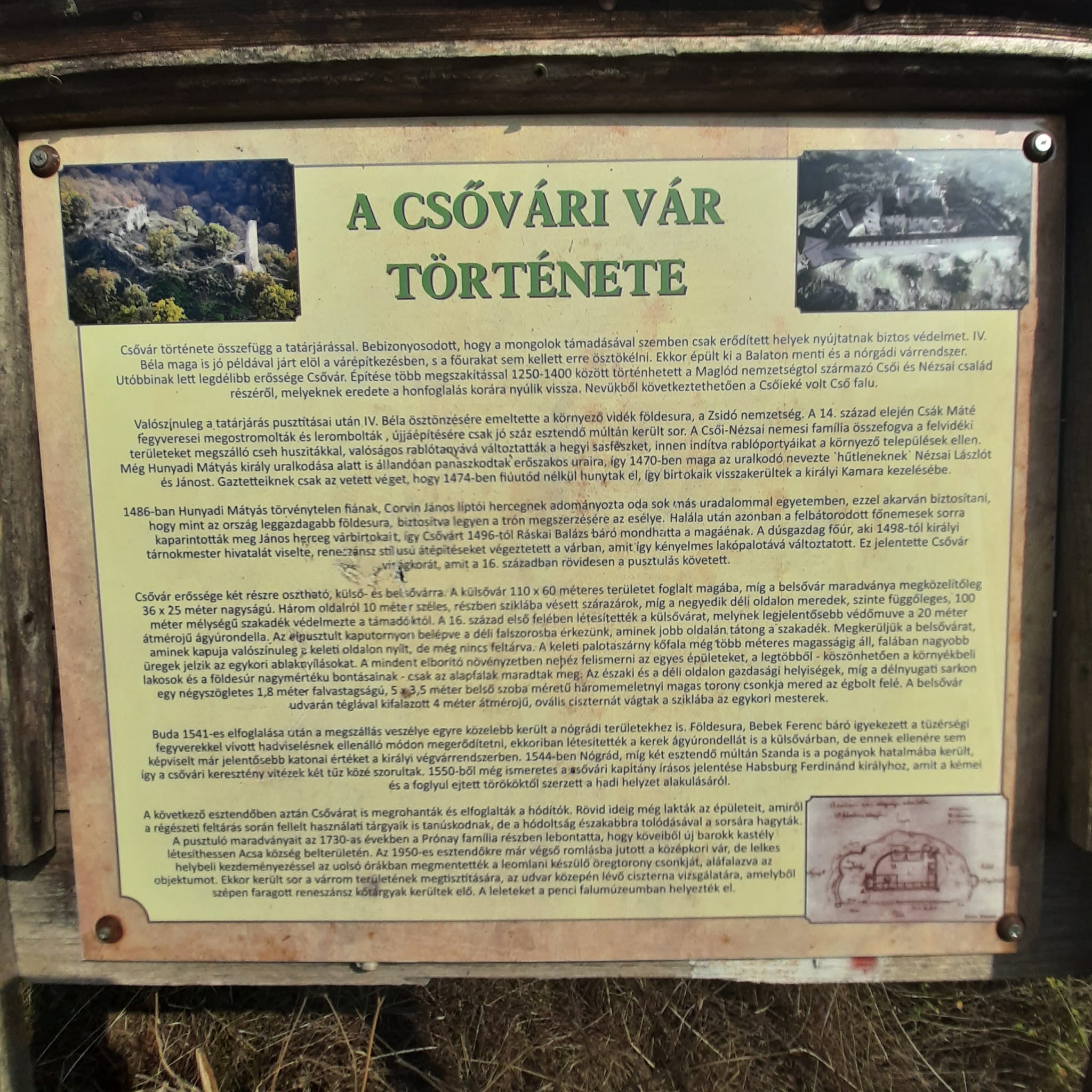 View larger image View larger image