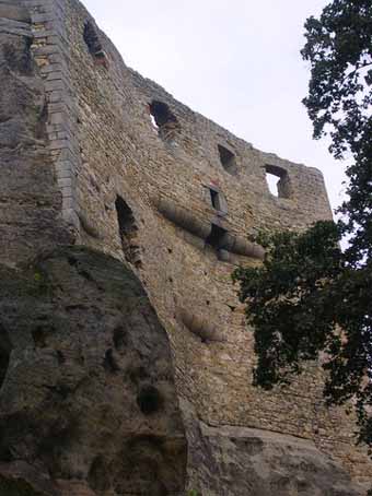 View larger image View larger image