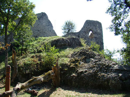 View larger image View larger image