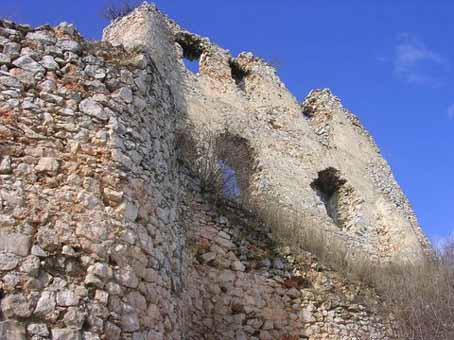 View larger image View larger image