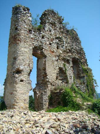 View larger image View larger image