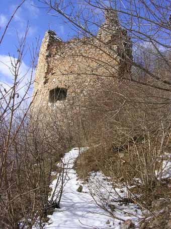 View larger image View larger image