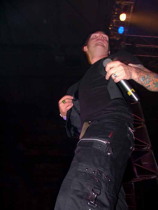 View larger image View larger image