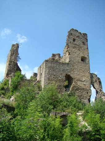 View larger image View larger image