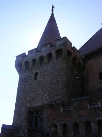 View larger image View larger image