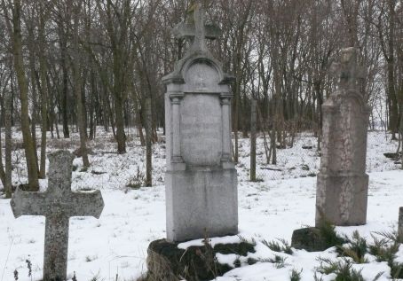 View larger image View larger image