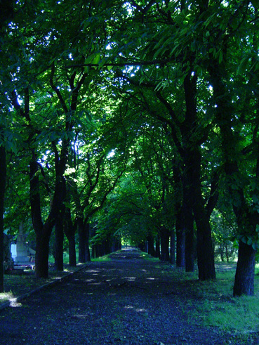 View larger image View larger image