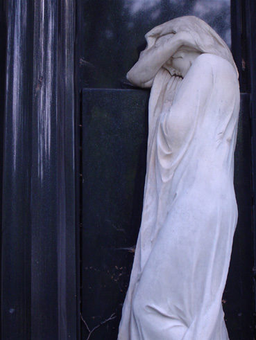 View larger image View larger image