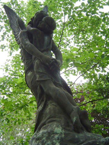 View larger image View larger image