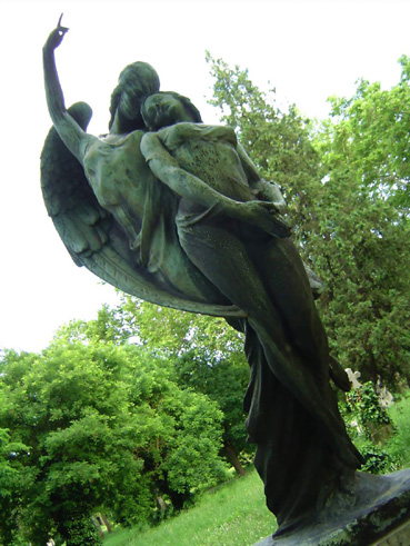 View larger image View larger image