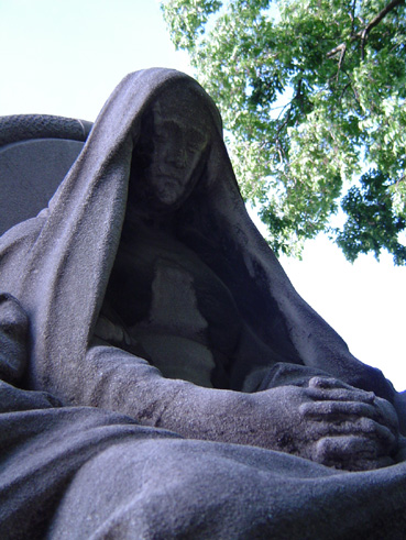 View larger image View larger image