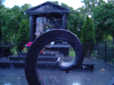 View larger image View larger image