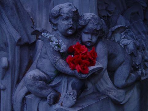 View larger image View larger image