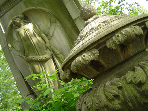 View larger image View larger image