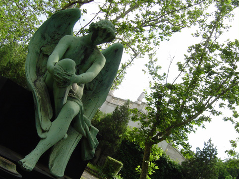 View larger image View larger image