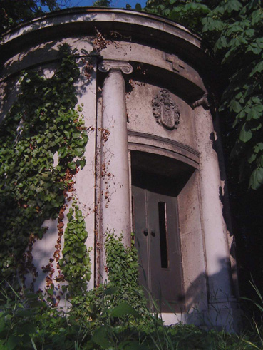 View larger image View larger image