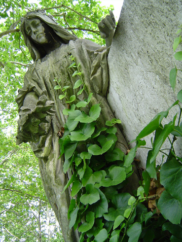 View larger image View larger image