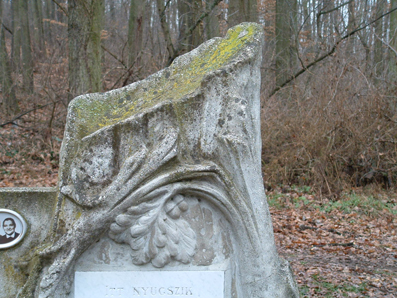 View larger image View larger image