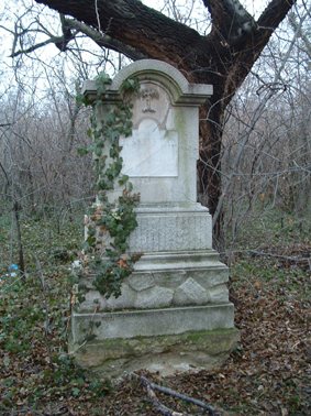 View larger image View larger image