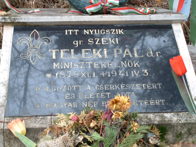 View larger image View larger image