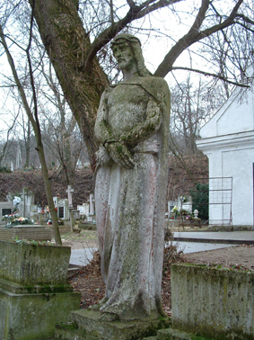 View larger image View larger image