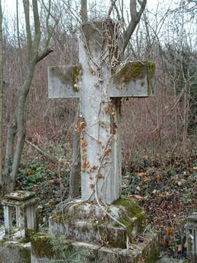 View larger image View larger image