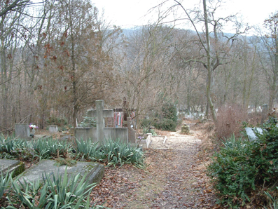 View larger image View larger image